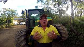 Lantana Removal Queensland The Truth about Poison Lantana [upl. by Winou381]