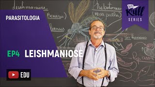 Leishmaniose Parasitologia  EP 4  Biokrill Series [upl. by Faubert]