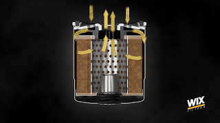 CT Urogram cutting amp full work process [upl. by Nahc]