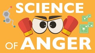 THE SCIENCE OF ANGER [upl. by Spielman]