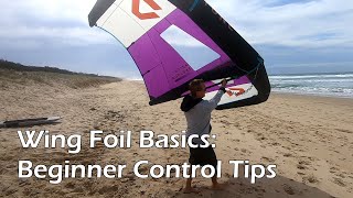 Wing Foil Basics Beginner Control Tips [upl. by Ailero311]