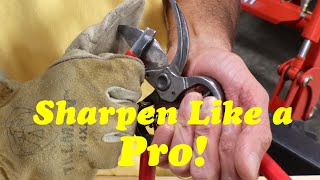 Sharpening Pruning Shears  How to Keep Pruning Shears Sharp [upl. by Attekal853]