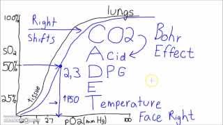 Physiology  The Oxygen–Hemoglobin Dissociation Curve [upl. by Cooley]