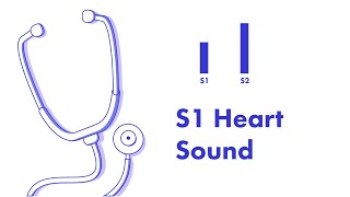 S1 Heart Sound  Learn How to Auscultate Part 8 [upl. by Bridgid]