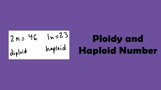 Ploidy and Haploid Number [upl. by Nahtnoj]