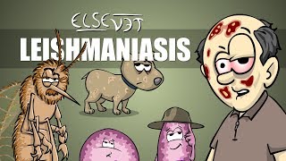 Leishmaniasis  Plain and Simple [upl. by Saiasi323]