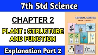 plant structure and function class 7  lesson no 2 science Explanation Part 2 maharashtra board [upl. by Sualocin]