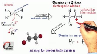 Simply Mechanisms 2 Electrophilic Addition 2 Ethene amp Bromine [upl. by Daniala759]