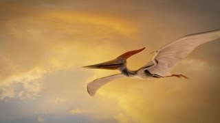 How Were Pterosaurs Adapted for Flight [upl. by Yreffeg]