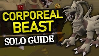 Solo Corporeal Beast Guide almost 0 damage [upl. by Ellerahc]