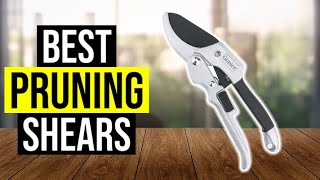 Best Pruning Shears 2024 ⬆️ TOP 5 ✅ [upl. by Carma366]