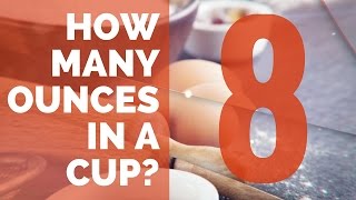 How Many Ounces in a Cup  Conversion Guide [upl. by Sihtam]