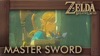 Zelda Breath of the Wild  Master Sword Location How to Get Master Sword [upl. by Haron]