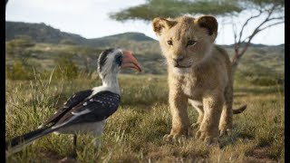 LION KING FULL HD 1080 VJ KEVO  GAMERS LOFT ENTERTAINMENT [upl. by Alded]