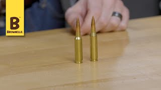 Quick Tip 65 Creedmoor vs 260 Remington [upl. by Erhard]