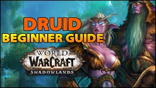 Druid Beginner Guide  Overview amp Builds for ALL Specs WoW Shadowlands [upl. by Ramoh273]