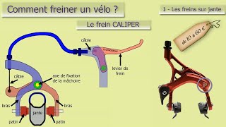 Comment freiner un vélo  2ème partie  le frein caliper [upl. by Franckot863]