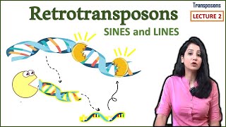 Retrotransposons II LINES SINES II Transposons Part 2 [upl. by Eneroc198]