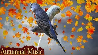 Best Insomnia Therapy Pure Relaxation Music for Sleeping Healing Music for Deep Sleep Sleep Music [upl. by Tiffanle517]