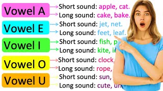 VOWELS amp CONSONANTS  Whats the difference  Learn with examples [upl. by Indihar785]