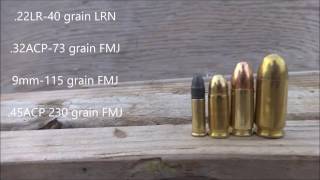 22LR 32acp 9mm and 45acp VS 2x4s penetration test [upl. by Aciram687]