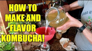 KOMBUCHA FOR DUMMIES  HOW TO MAKE AND FLAVOR [upl. by Germayne]