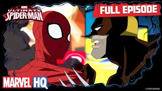 Freaky  Ultimate SpiderMan S1 E10  Full Episode [upl. by Akehsyt]