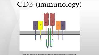 CD3 immunology [upl. by Gabel566]