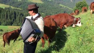 LA PLACE DU VILLAGE Un concerto cloches de vachesaccordéon à Megève quotMontagnes dItaliequot [upl. by Esinnej]