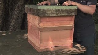 How to Make your Own Beehive [upl. by Janine]