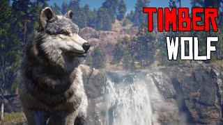 Red Dead Online  Timber Wolf Location  RDR2 [upl. by Buchalter146]