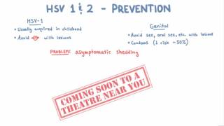 HSV 1 and 2 Prevention [upl. by Leumas]