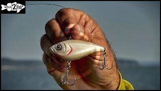 How to Master Depth Control With Lipless Crankbaits [upl. by Meehan]