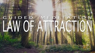 Law of Attraction Meditation for Deep Positivity amp Abundance Guided Meditation 20 Minutes [upl. by Yrdnal]