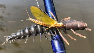 Slammin Smallies During The Mayfly Hatch [upl. by Kilar]