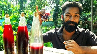 My Home Made Wine Making  ഞാൻ ഉണ്ടാക്കിയ വൈൻ  M4 Tech [upl. by Mera]