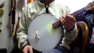 4 String Mandolin Banjo tuned octave below with Nylon Strings [upl. by Kcirdehs]