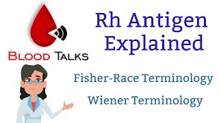 Rh antigen explained [upl. by Rolecnahc413]