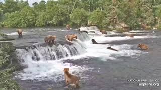 Super Epic Bearapalooza 17 Brown Bears at Brooks Falls 2 hours uninterrupted [upl. by Esetal93]