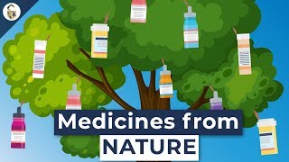 Lifesaving Medicines Made From Plants Youve Never Heard Of [upl. by Asital566]