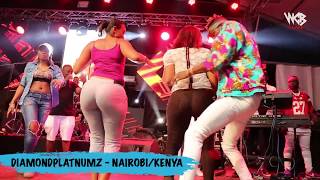 Diamond Platnumz Live Performance [upl. by Bray197]