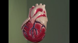 The Impact Of Stress On Your Heart [upl. by Els89]