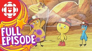 Chirp  Journey to the Cave of Wonders  CBC Kids [upl. by Rois938]