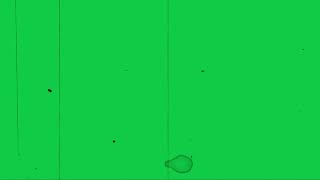 Aesthetic Overlay Green Screen  VHS  old film grain overlay  scratches [upl. by Mehetabel534]