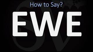 How to Pronounce Ewe CORRECTLY [upl. by Rezeile]