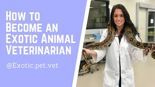 How to Become an Exotic Animal Veterinarian [upl. by Ahsenak]