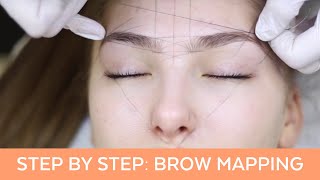 Brow Mapping Step By Step Training [upl. by Nani]