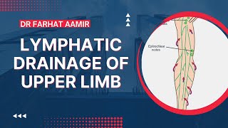 Lymphatic Drainage Of Upper Limb [upl. by Dragon]