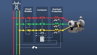 Motor Overload Protection [upl. by Sainana196]