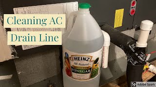 Cleaning AC Drain Line Routinely Using Vinegar [upl. by Imnubulo]